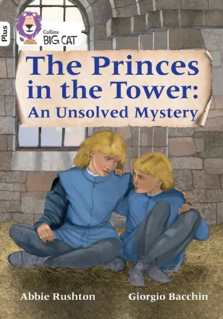 The Princes in the Tower: An Unsolved Mystery by Abbie Rushton