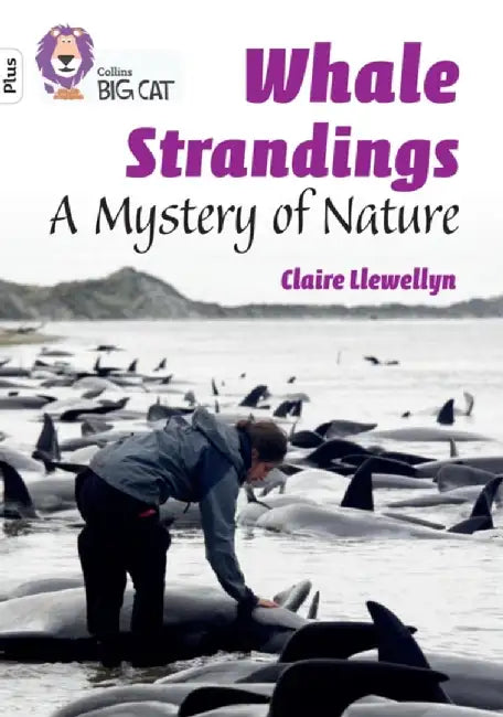 Whale Strandings: A Mystery of Nature by Claire Llewellyn