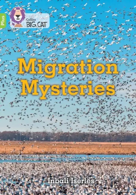 Migration Mysteries by Inbali Iserles