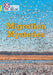 Migration Mysteries by Inbali Iserles