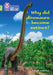 Why did dinosaurs become extinct? by Claire Llewellyn