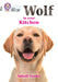 Wolf in your kitchen: Band 10+/White Plus by Inbali Iserles