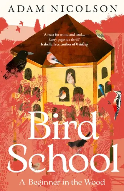 Bird School: A Beginner in the Wood by Adam Nicolson