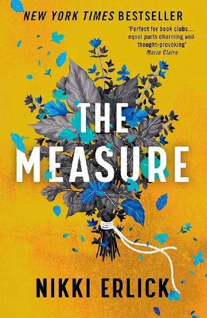 The Measure by Nikki Erlick