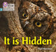 Big Cat Phonics for Little Wandle Letters and Sounds Revised - It Is Hidden: Phase 3 by Paul Harrison