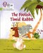 Big Cat Phonics for Little Wandle Letters and Sounds Revised - The Foolish, Timid Rabbit: Phase 4 by Lou Kuenzler