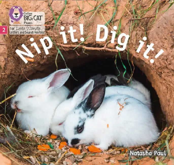 Big Cat Phonics for Little Wandle Letters and Sounds Revised - Nip It! Dig It!: Phase 2 by Natasha Natasha