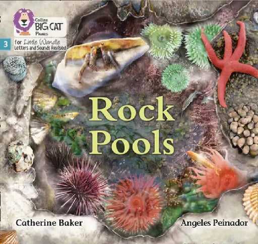 Big Cat Phonics for Little Wandle Letters and Sounds Revised - Rock Pools: Phase 3 by Catherine Baker