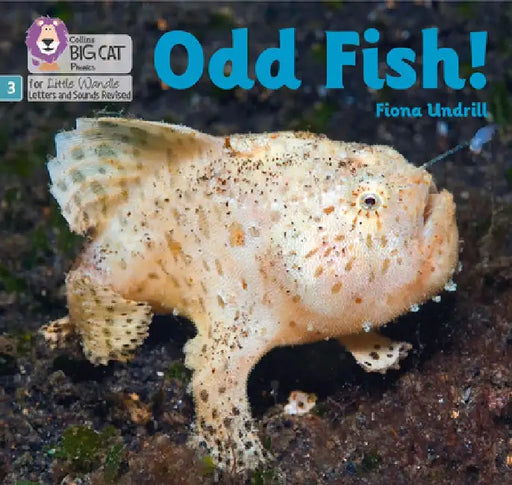 Big Cat Phonics for Little Wandle Letters and Sounds Revised - Odd Fish!: Phase 3 by Fiona Undrill