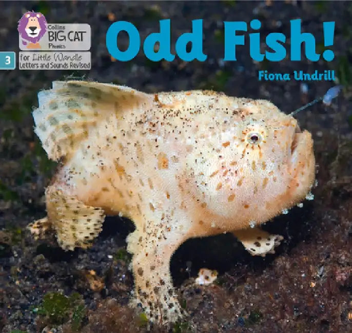 Big Cat Phonics for Little Wandle Letters and Sounds Revised - Odd Fish!: Phase 3 by Fiona Undrill