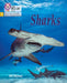 Big Cat Phonics for Little Wandle Letters and Sounds Revised - Sharks: Phase 5 by Ben Hubbard