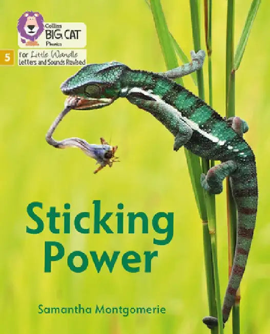 Big Cat Phonics for Little Wandle Letters and Sounds Revised - Sticking Power: Phase 5 by Samantha Montgomerie