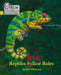 Big Cat Phonics for Little Wandle Letters and Sounds Revised - Reptiles Break Rules: Phase 5 by Isabel Thomas