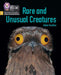 Rare and Unusual Creatures by Abbie Rushton