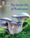 The Secret Life of Mushrooms by Inbali Iserles