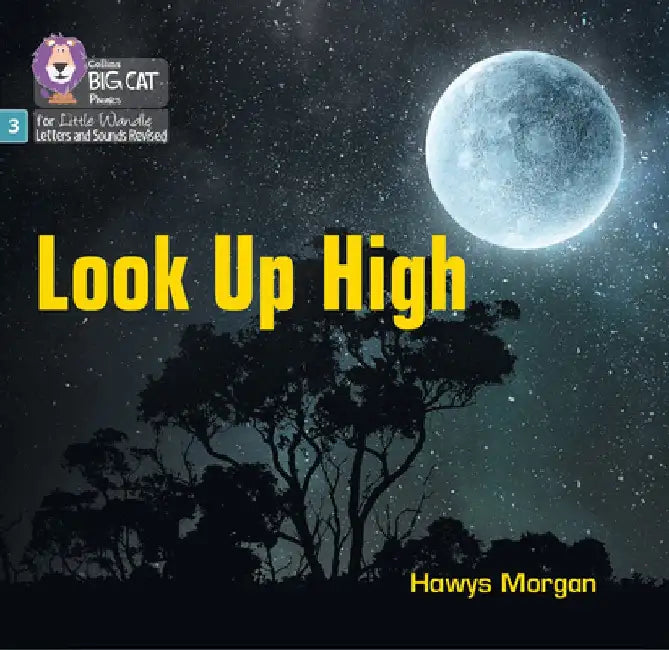 Look Up High by Hawys Morgan