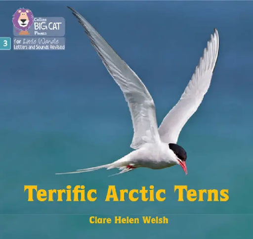 Terrific Arctic Terns by Clare Helen Welsh
