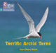 Terrific Arctic Terns by Clare Helen Welsh