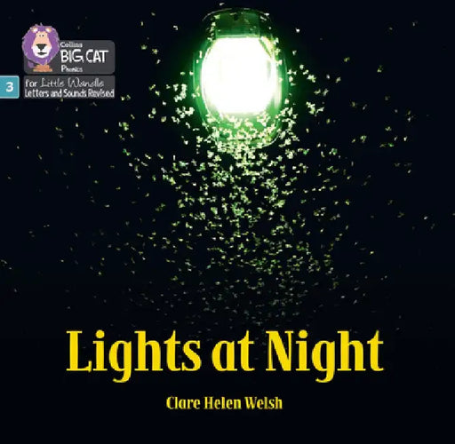 Lights at Night by Clare Helen Welsh
