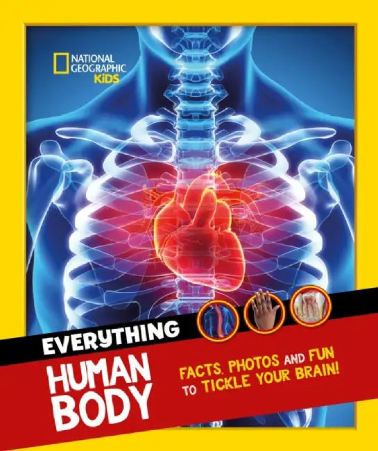 Everything: Human Body by National Geographic Kids