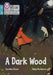 A Dark Wood by Caroline Green