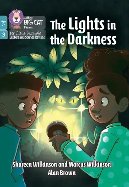 The Lights in the Darkness by Shareen Wilkinson