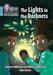The Lights in the Darkness by Shareen Wilkinson