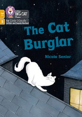 The Cat Burglar by Nicola Senior