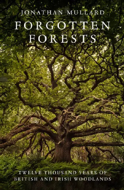 Forgotten Forests by Jonathan Mullard