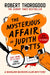 The Mysterious Affair Of Judith Potts by Robert Thorogood