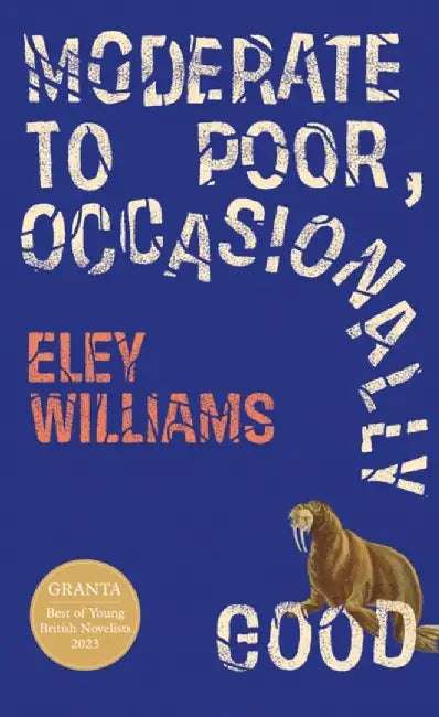 Moderate to Poor, Occasionally Good by Eley Williams