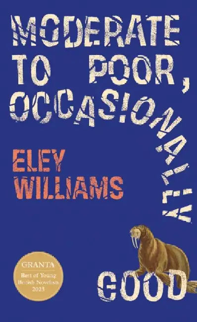 Moderate to Poor, Occasionally Good by Eley Williams