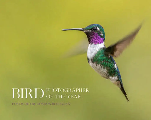 Bird Photographer of the Year by Bird Photographer of the Year