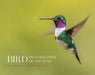 Bird Photographer of the Year by Bird Photographer of the Year