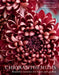 Chrysanthemums by Naomi Slade
