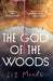 The God of the Woods by Liz Moore