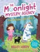 The Moonlight Mystery Agency 1: The Birthday Cake Thief by Vashti Hardy