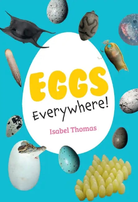 Eggs Everywhere! by Isabel Thomas