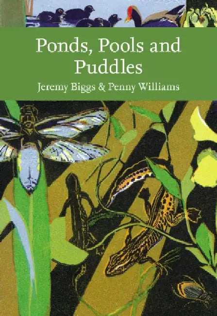 Ponds, Pools and Puddles by Jeremy Biggs
