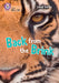 Collins Big Cat - Back from the Brink: Band 12/Copper by Collins Big Cat
