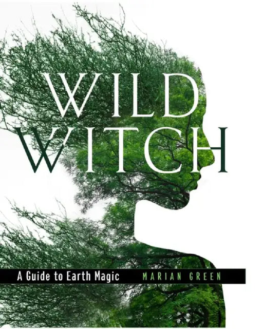 Wild Witch by Marian Green
