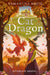 Cat Dragon by Samantha Birch