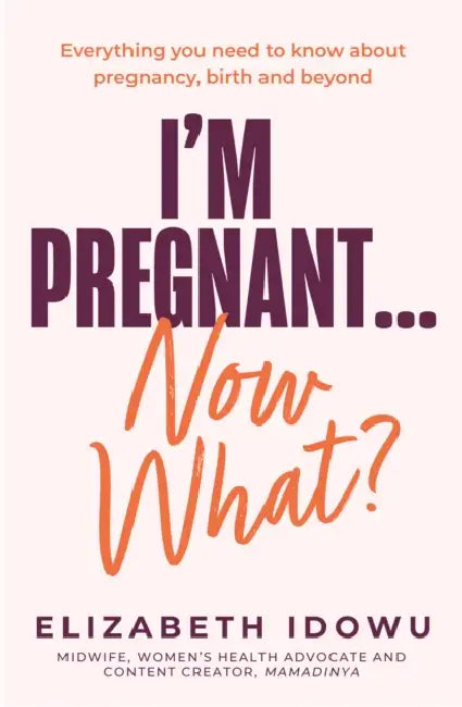I’m Pregnant … Now What? by Elizabeth Idowu