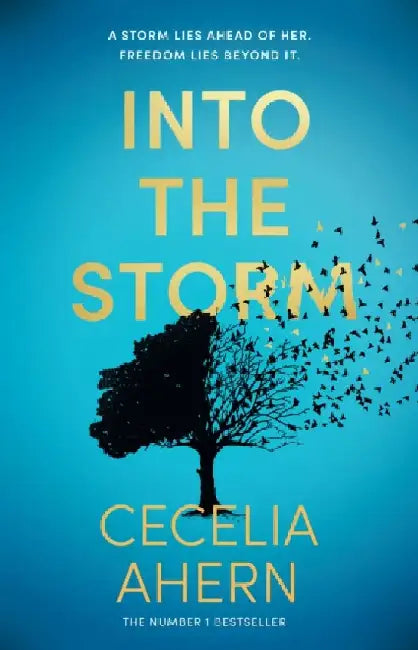Into The Storm by Cecelia Ahern