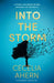 Into The Storm by Cecelia Ahern