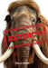 Extinct!: Fluency 2 by Becca Heddle