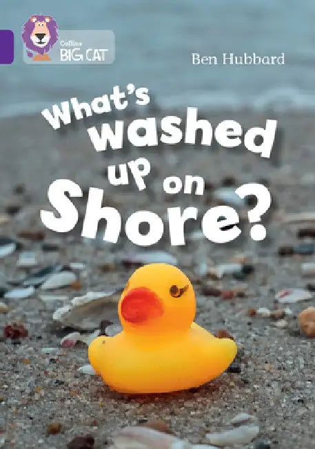 What's washed up on shore?: Band 08/Purple by Ben Hubbard