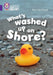 What's washed up on shore?: Band 08/Purple by Ben Hubbard