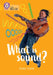 What is sound?: Band 09/Gold by Emily Dodd