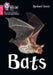 Bats: Phase 2 Set 5 by Karan (University of Stavanger, Norway) Sotoodeh